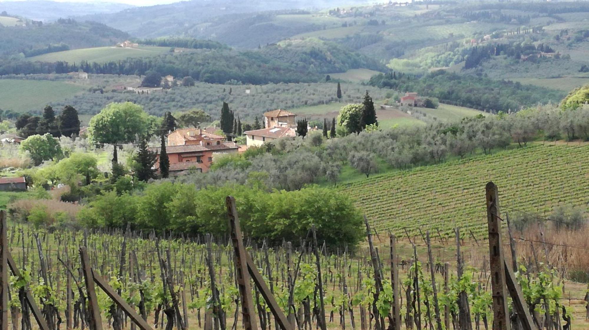 Agriturismo Podere La Cava Mercatale Val Di Pesa Exterior foto